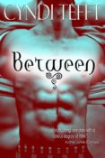 Cover Re-Reveal: The Between Series by Cyndi Tefft