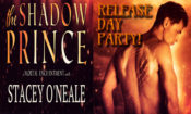 Release Day Blitz & Giveaway: The Shadow Prince (Mortal Enchantment #0.5) by Stacey O’Neale