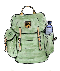 LGL backpack