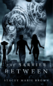 Cover Reveal: The Barrier Between by Stacey Marie Brown