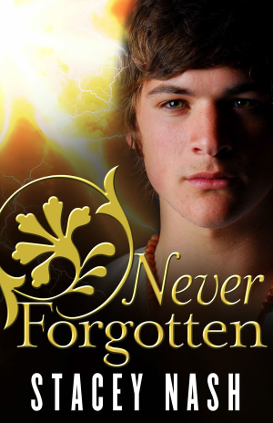 Cover_Never Forgotten