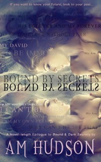 bound by secrets am hudson cover
