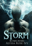 Release Day Blitz: Storm by Alyssa Rose Ivy