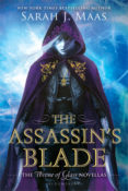 Book Rewind ⋅ Review: The Assassin’s Blade by Sarah J. Maas
