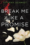 Book Rewind · Review: Break Me Like a Promise by Tiffany Schmidt
