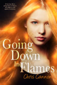 Sales Blitz: Going Down in Flames by Chris Cannon