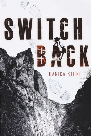 Books On Our Radar: Switchback by Danika Stone