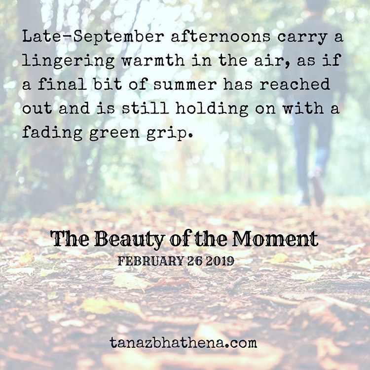 Quote The Beauty of the Moment "Late-September afternoons carry a lingering warmth in the air, as if a final bit of summer has reached out and is still holding on with a fading green grip." 