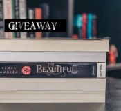 Giveaway: End of 2019 Giveaway – 30 Books & 7 Winners!