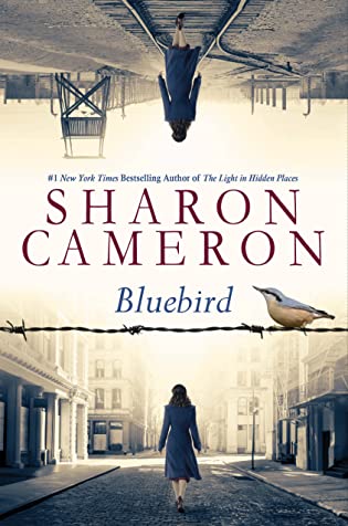 Cover Crush: Bluebird by Sharon Cameron