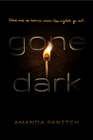 Author Interview: Gone Dark by Amanda Panitch