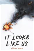 Cover Crush: It Looks Like Us by Alison Ames