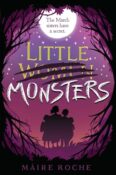 Author Interview: Little Monsters by Maire Roche